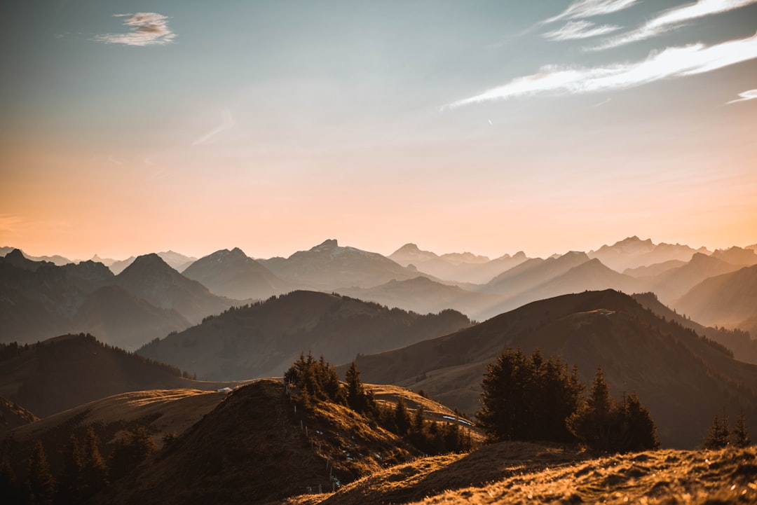 Swiss Alpine Herbs